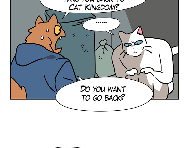 Meow Man Chapter 54 page 29 - 
