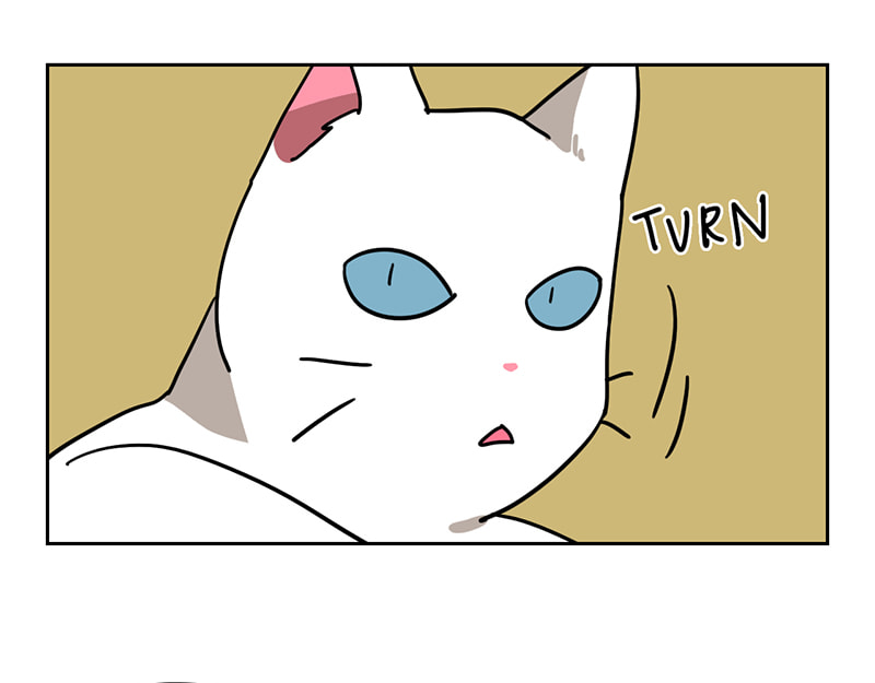 Meow Man Chapter 57 page 66 - 