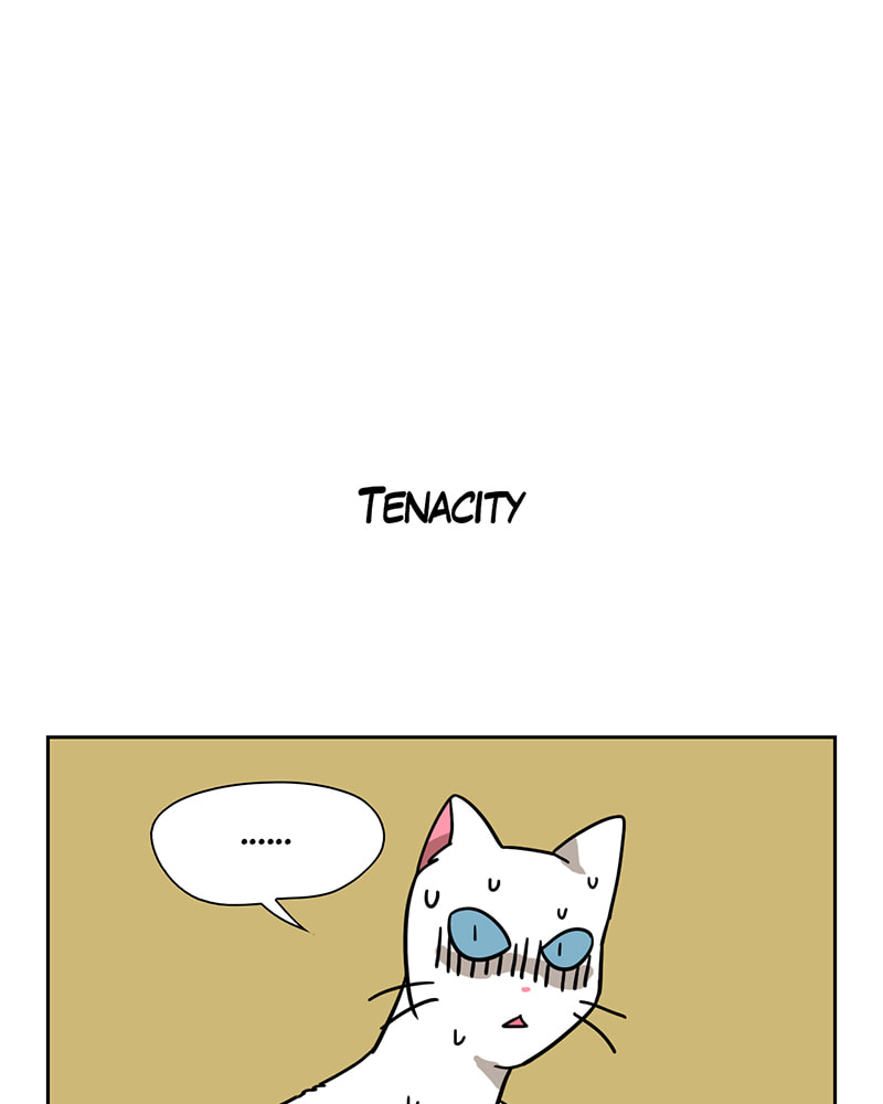 Meow Man Chapter 58 page 2 - 