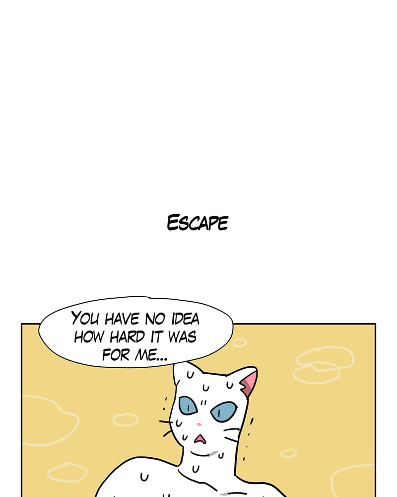 Meow Man Chapter 58 page 23 - 
