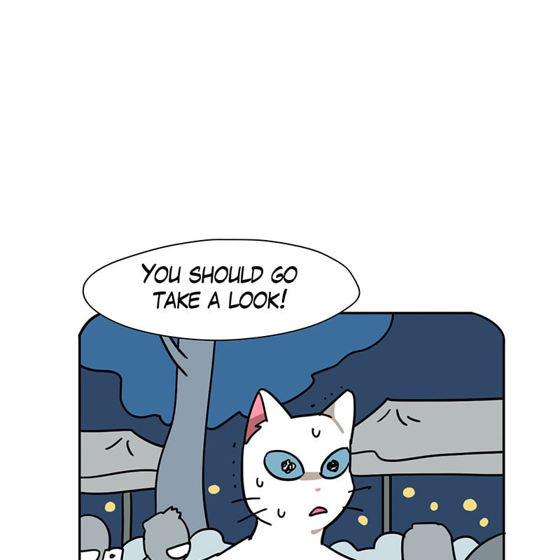 Meow Man Chapter 59 page 61 - 