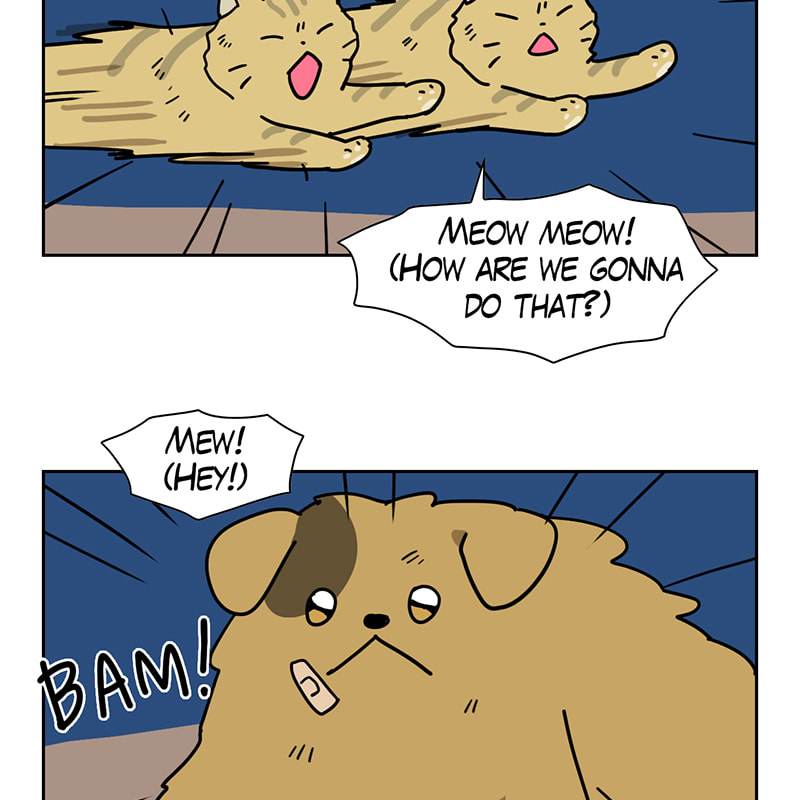 Meow Man Chapter 64 page 43 - 