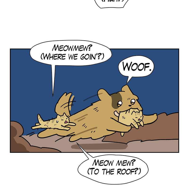 Meow Man Chapter 64 page 45 - 
