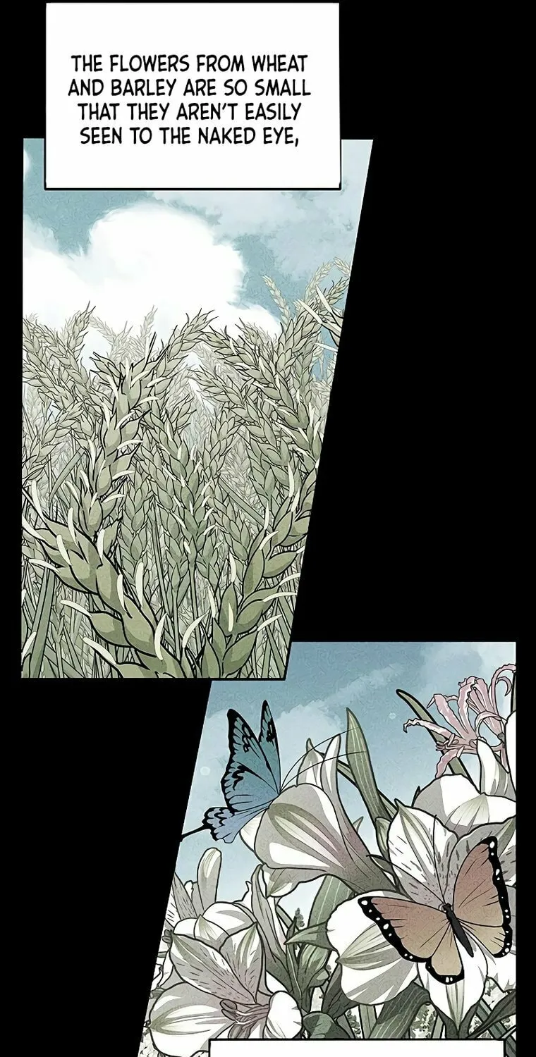 Mesopotamian Mythology of Hongkki Chapter 3 page 96 - 
