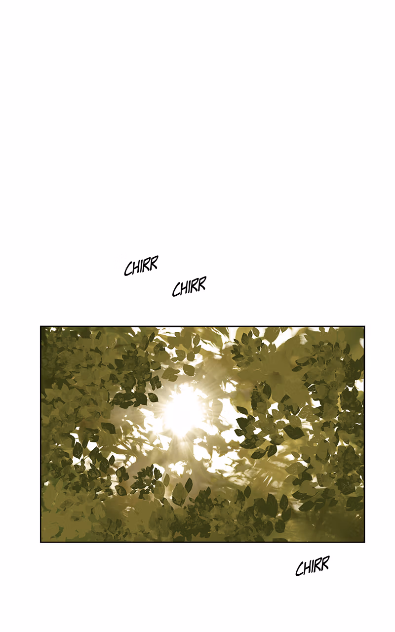 Midnight Poppy Land Chapter 3 page 1 - 