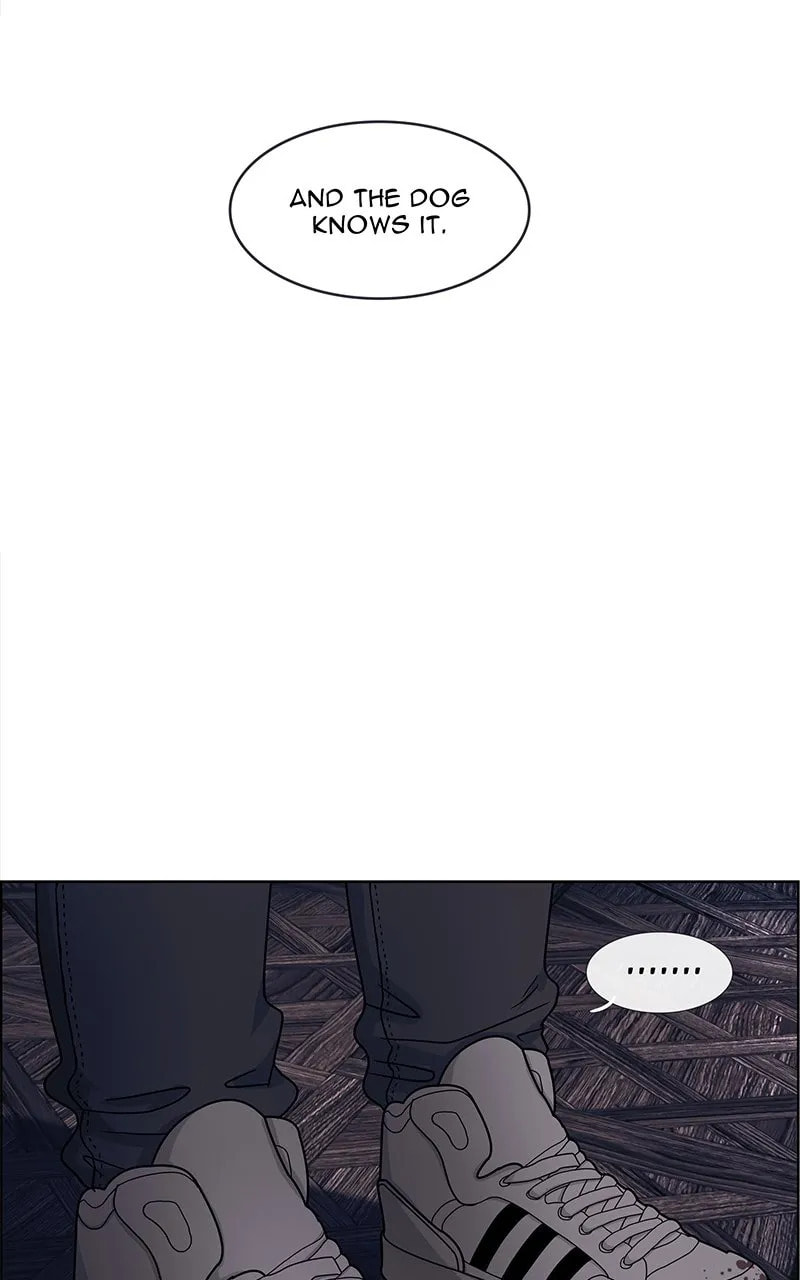 Midnight Poppy Land Chapter 5 page 41 - 