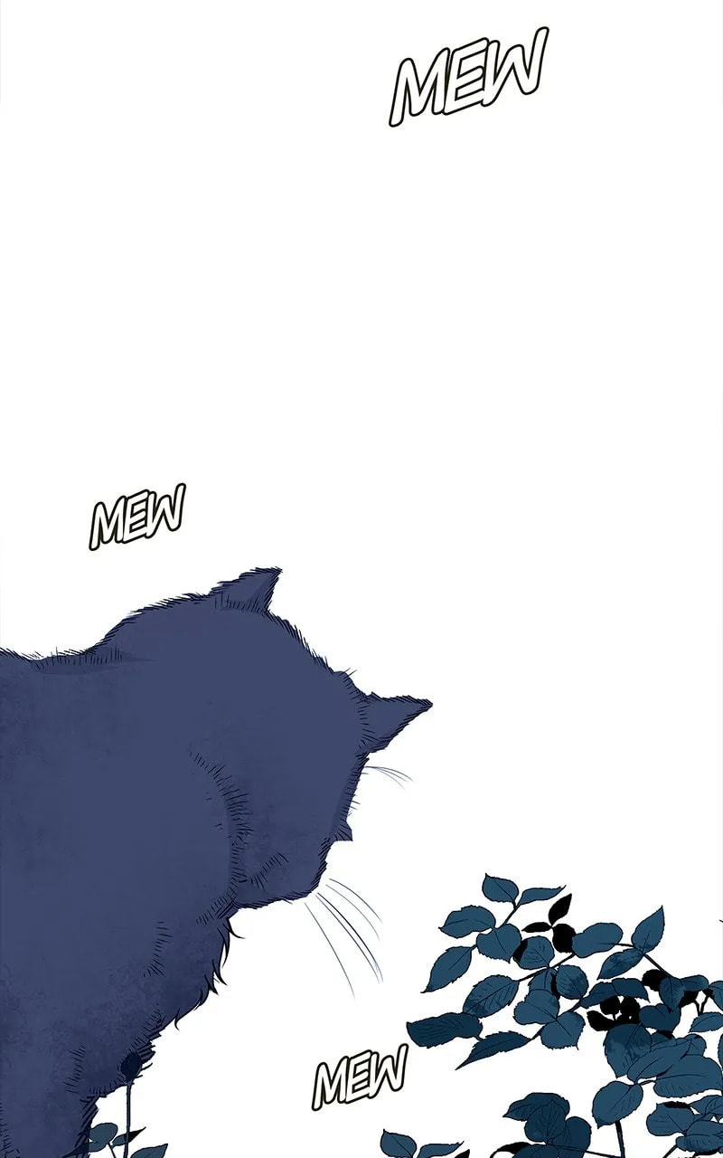Midnight Poppy Land Chapter 5 page 66 - 