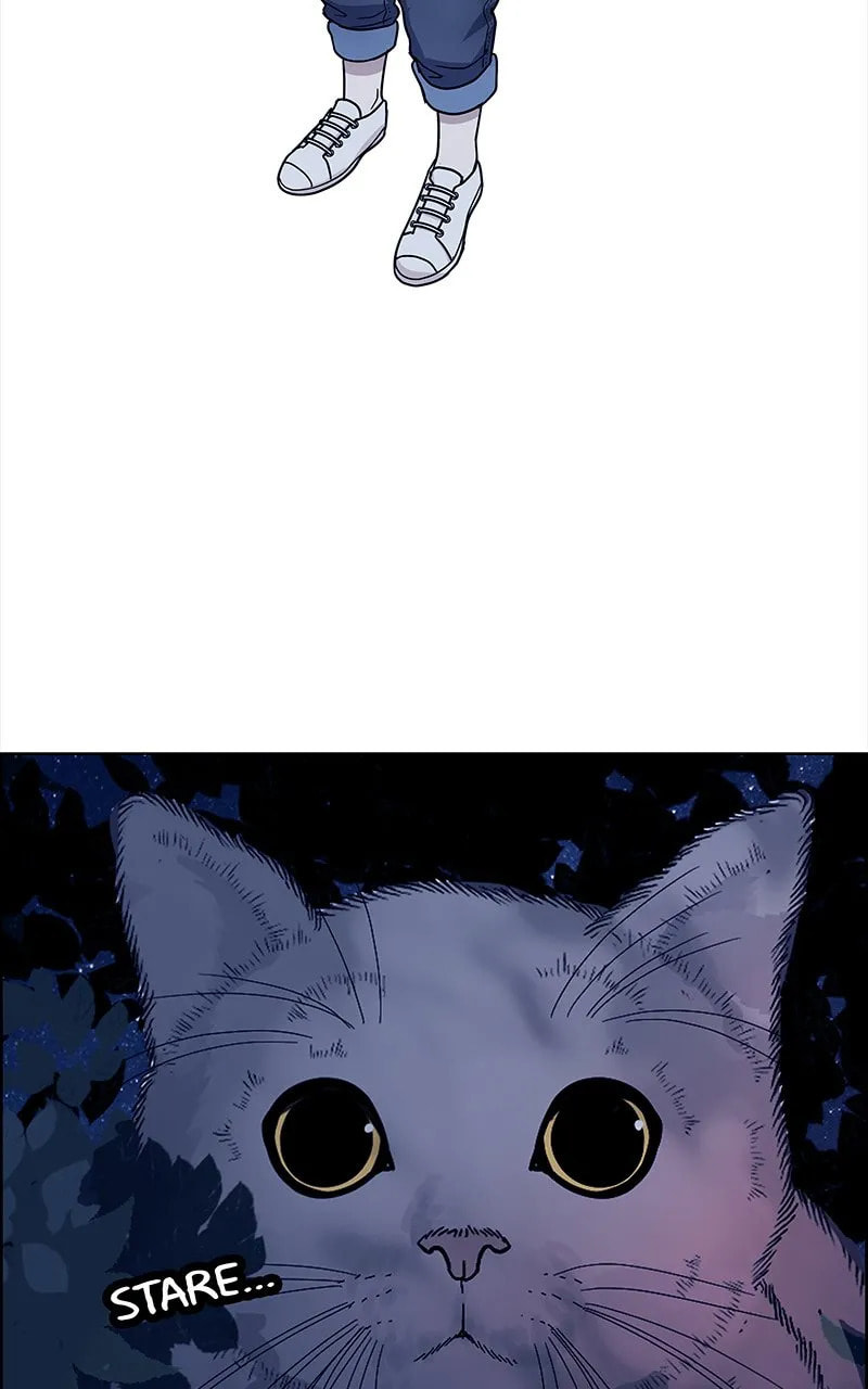 Midnight Poppy Land Chapter 5 page 67 - 