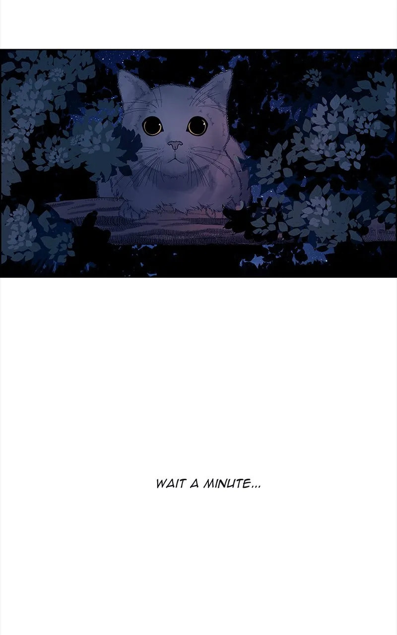 Midnight Poppy Land Chapter 5 page 71 - 