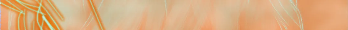 Minjeong Days Chapter 5 page 4 - 
