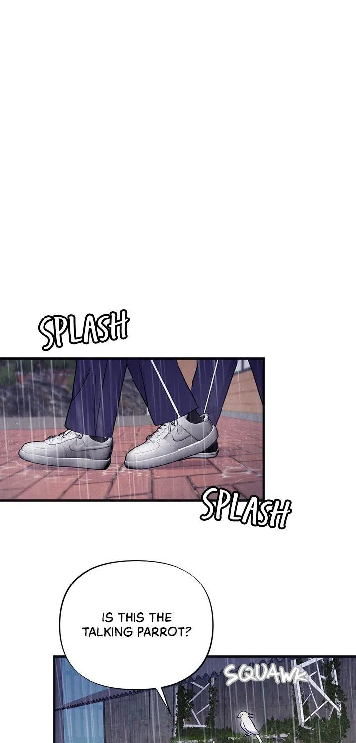 Miracle Illusion Chapter 10 page 24 - 