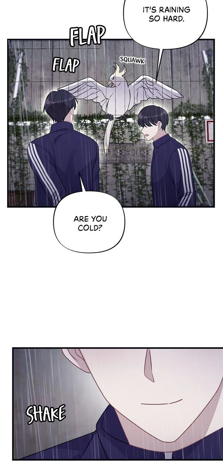 Miracle Illusion Chapter 10 page 29 - 