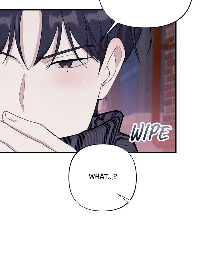 Miracle Illusion Chapter 12 page 15 - 