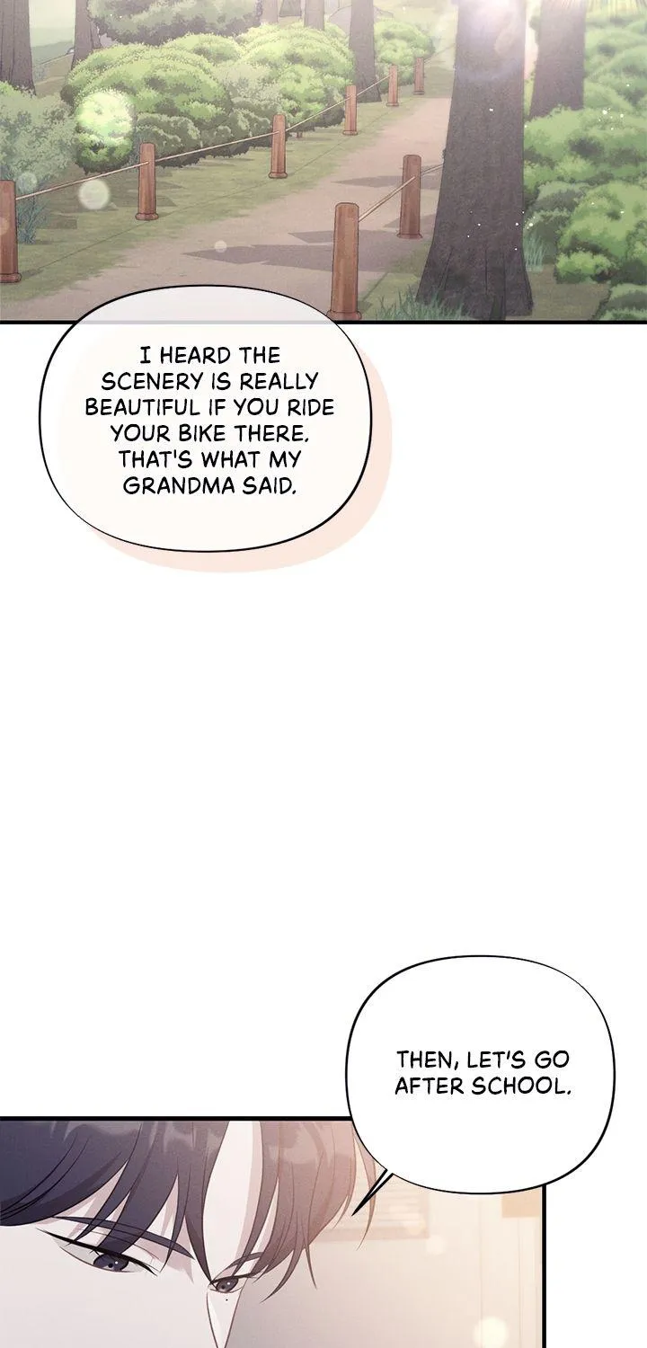 Miracle Illusion Chapter 12 page 69 - 
