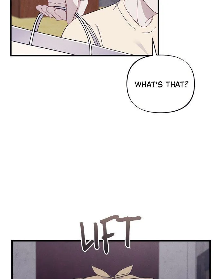 Miracle Illusion Chapter 13 page 13 - 