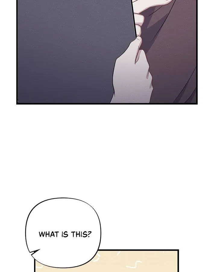 Miracle Illusion Chapter 16 page 2 - 