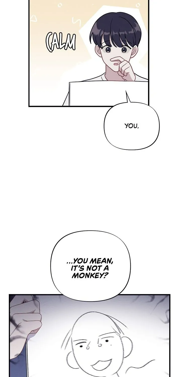 Miracle Illusion Chapter 16 page 3 - 