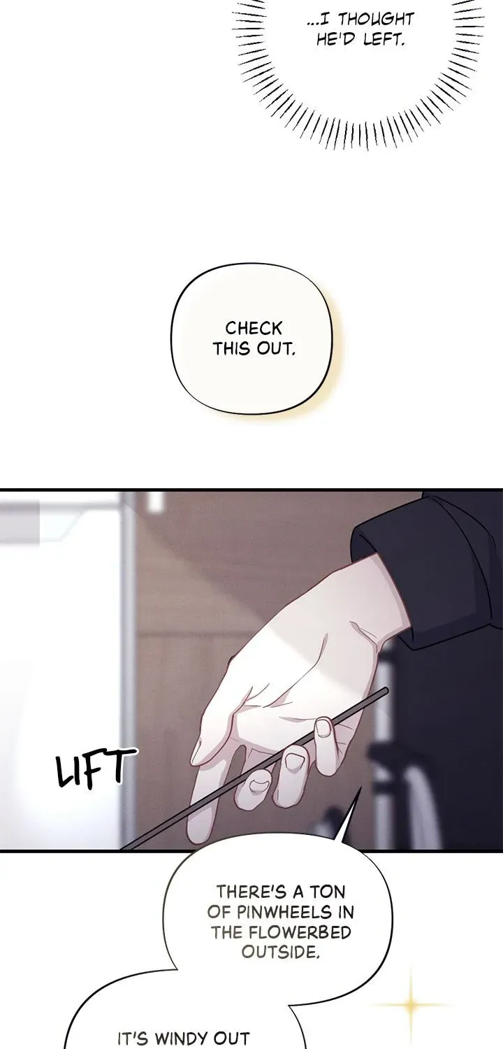 Miracle Illusion Chapter 19 page 76 - 
