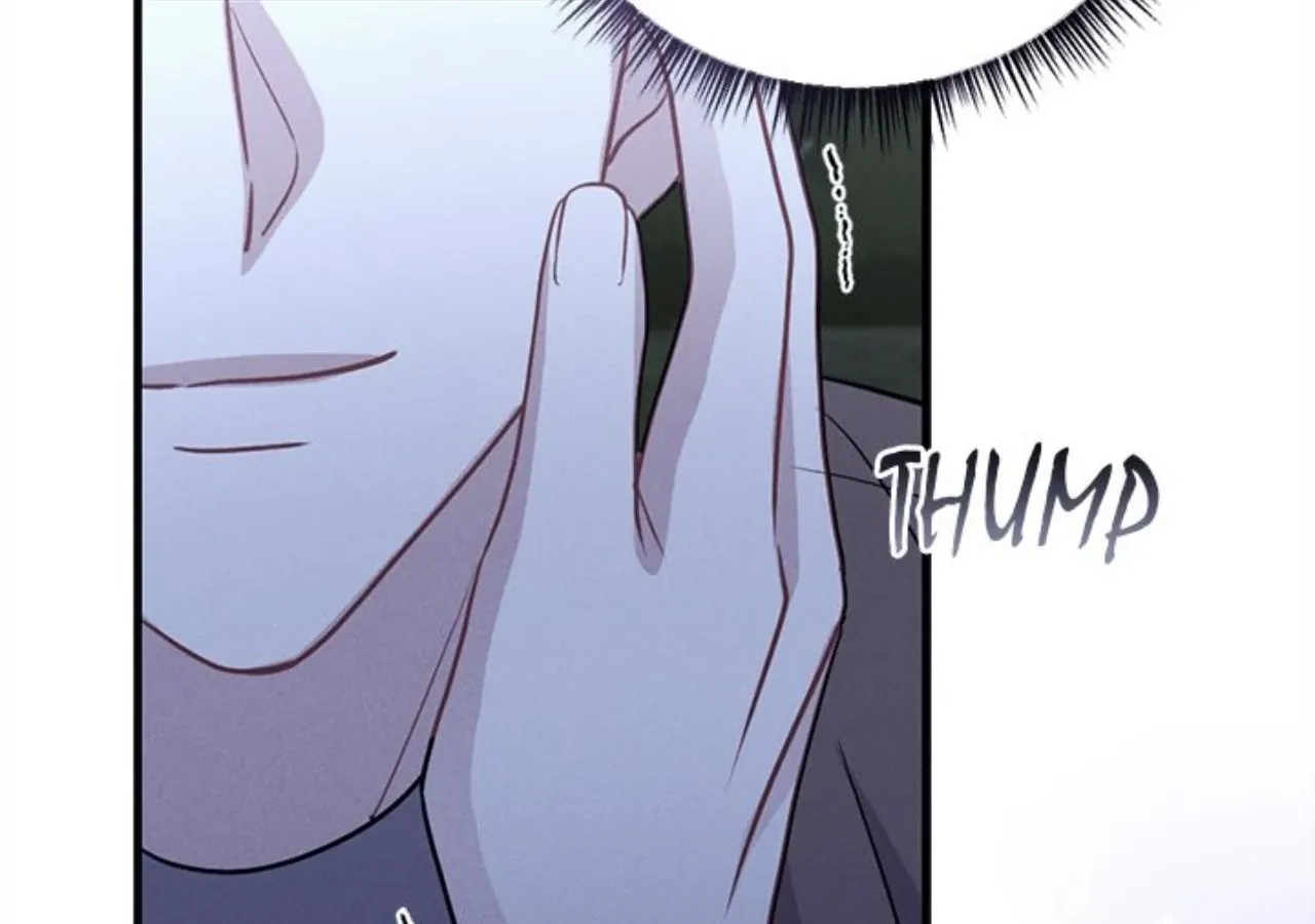 Miracle Illusion Chapter 47 page 164 - 