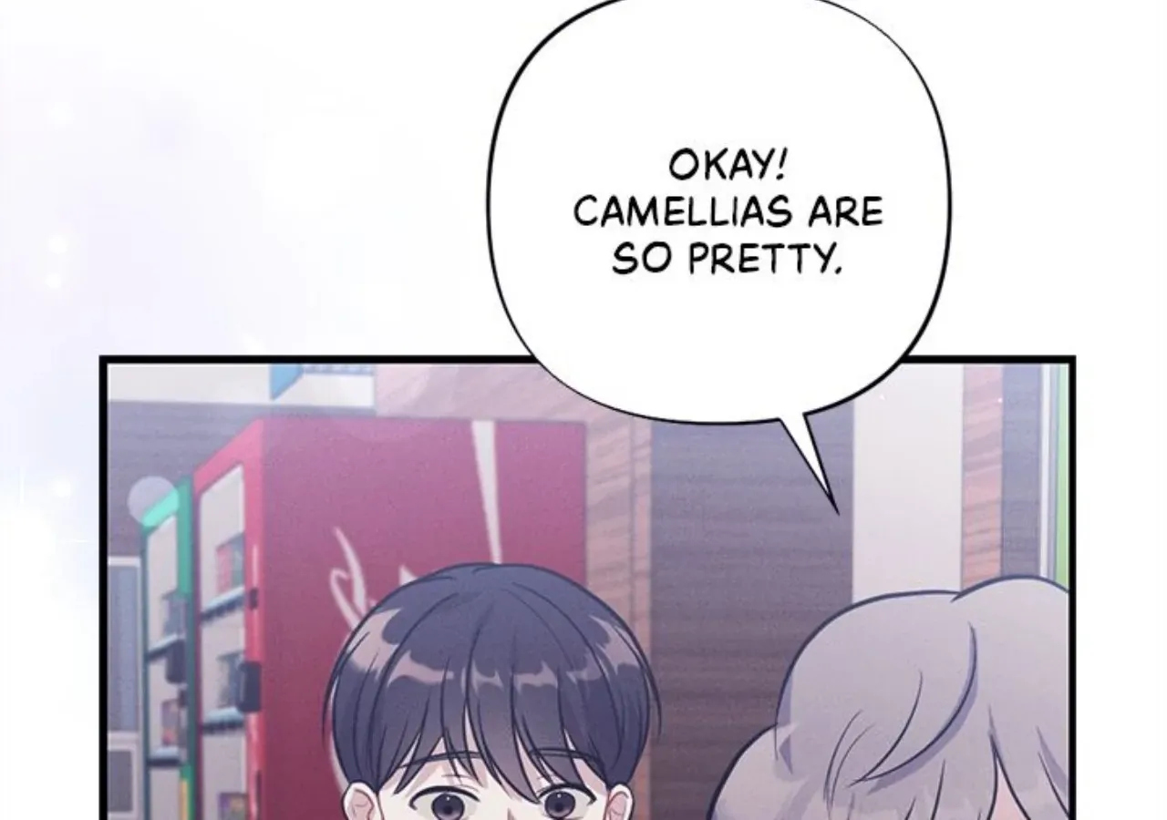 Miracle Illusion Chapter 48 page 107 - 