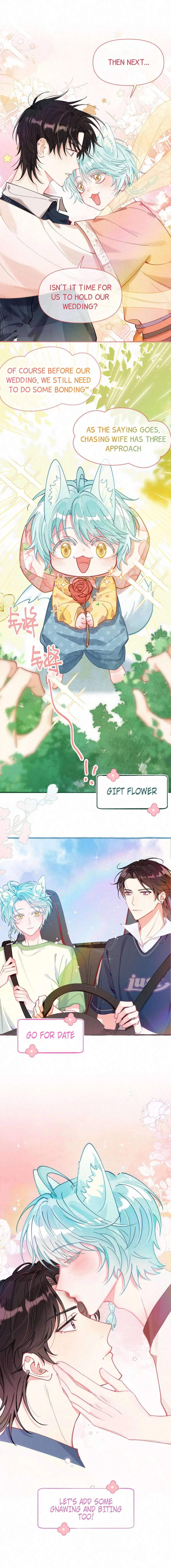 Mischievous Pestering Fox Chapter 0 page 5 - 
