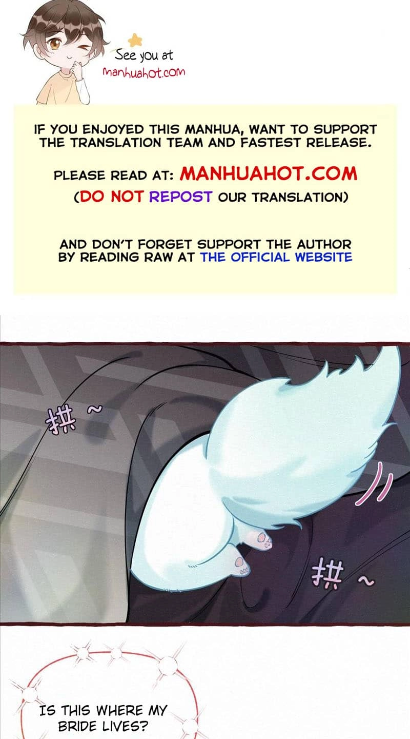 Mischievous Pestering Fox Chapter 11 page 1 - 