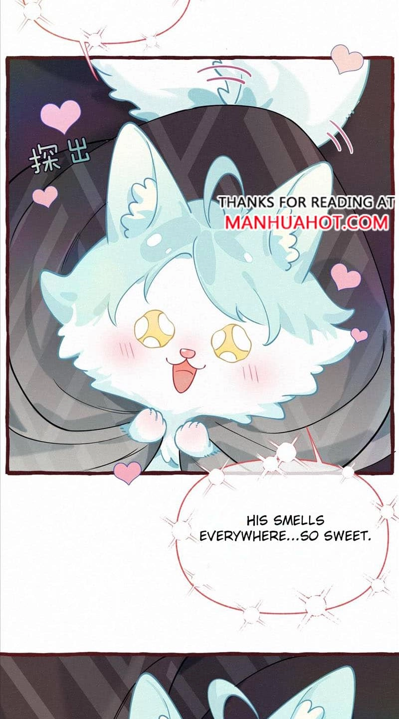 Mischievous Pestering Fox Chapter 11 page 2 - 