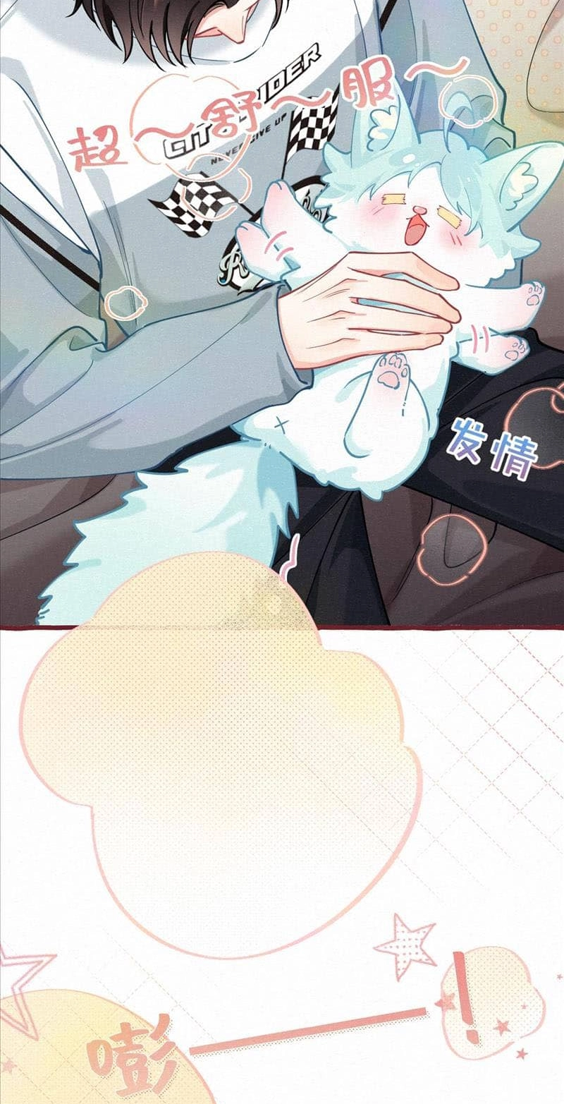 Mischievous Pestering Fox Chapter 11 page 16 - 