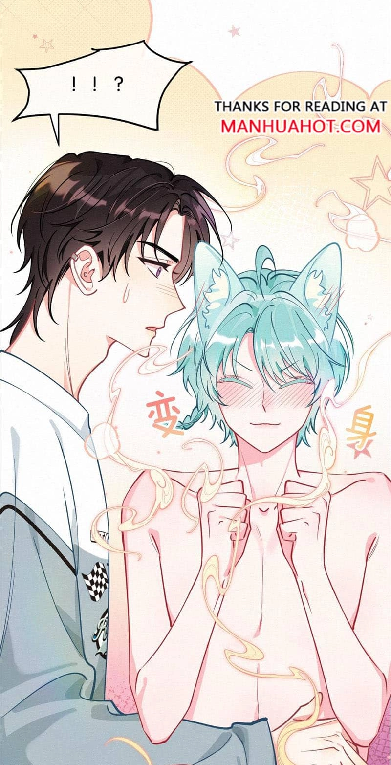 Mischievous Pestering Fox Chapter 11 page 17 - 