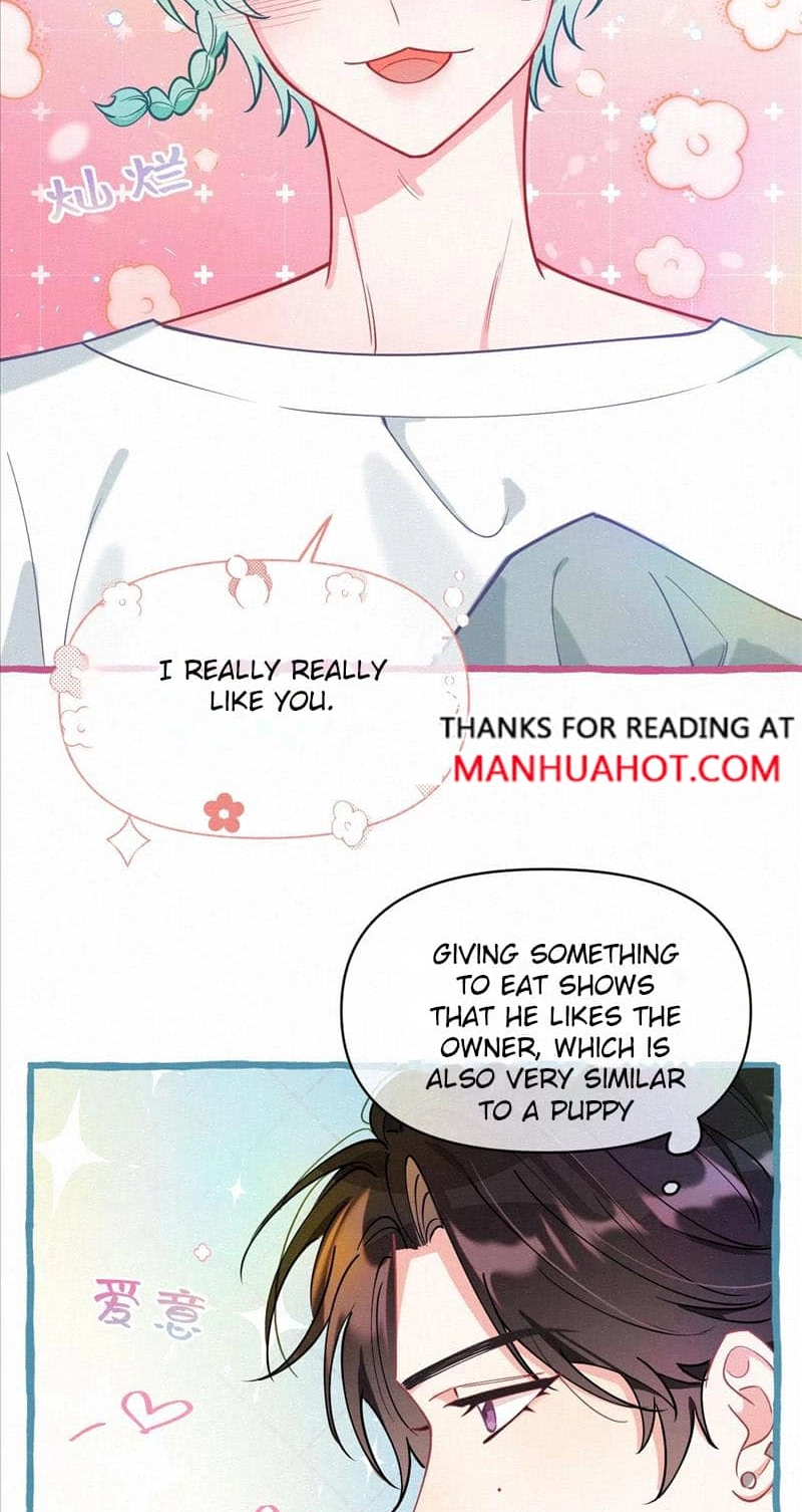 Mischievous Pestering Fox Chapter 12 page 13 - 