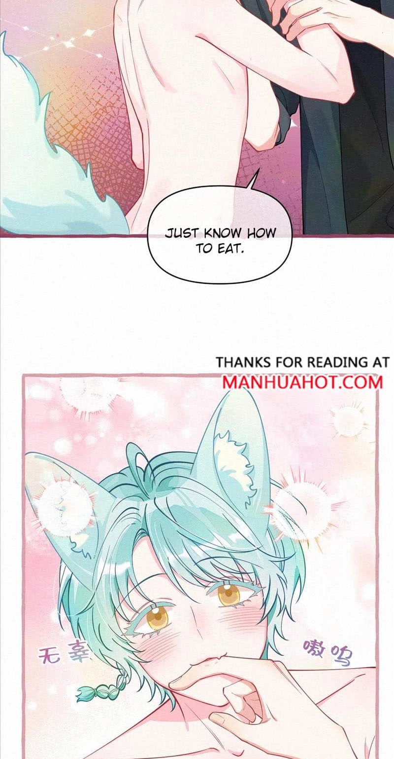 Mischievous Pestering Fox Chapter 13 page 2 - 