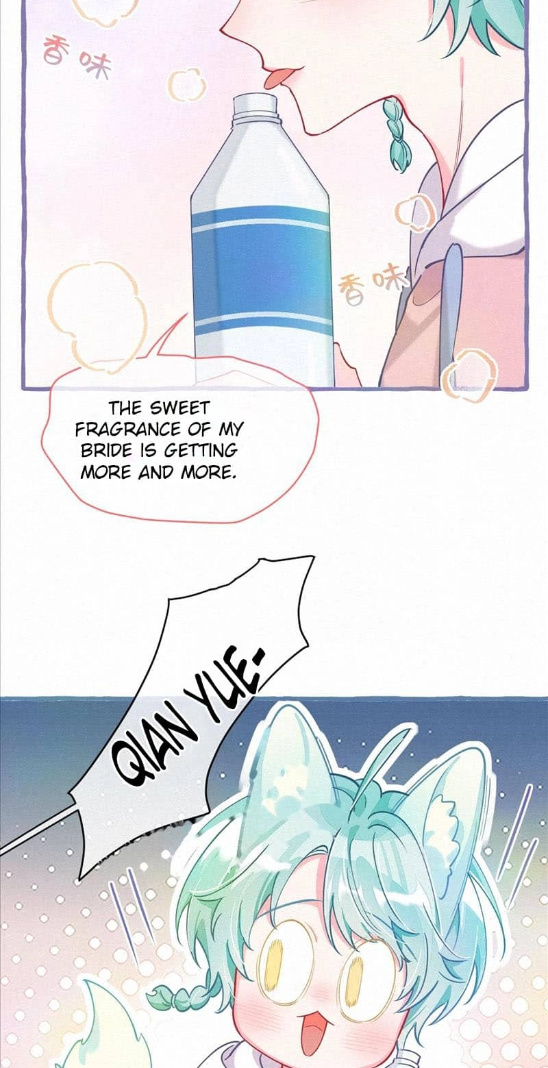 Mischievous Pestering Fox Chapter 14 page 37 - 