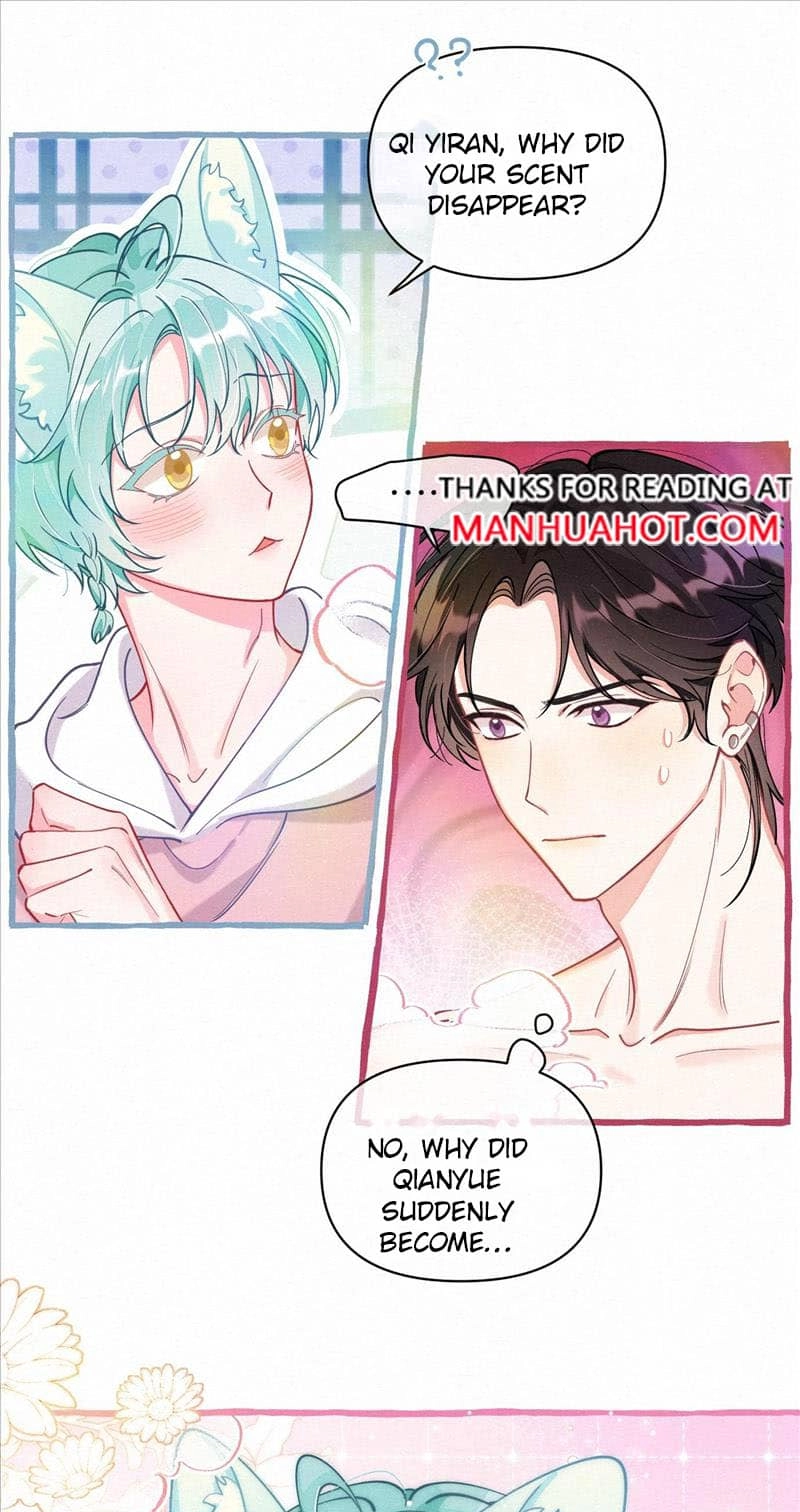 Mischievous Pestering Fox Chapter 15 page 14 - 