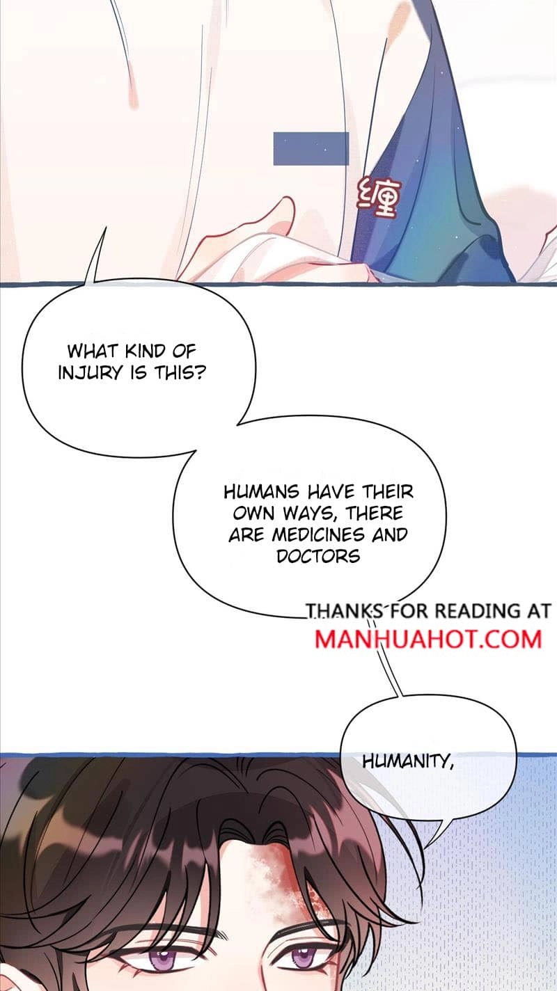 Mischievous Pestering Fox Chapter 6 page 12 - 