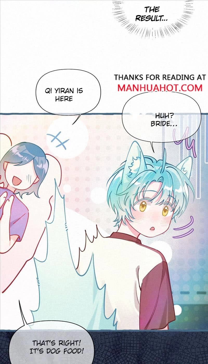 Mischievous Pestering Fox Chapter 6 page 37 - 