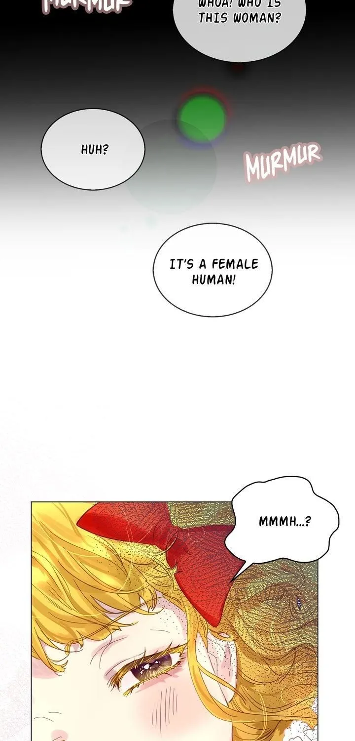 Miss Not-So Sidekick Chapter 161 page 5 - 