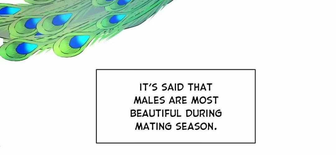 Missing Romance Chapter 22 page 105 - 