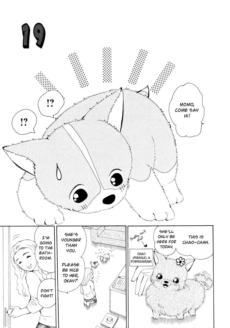 Momokan Chapter 4 page 17 - 