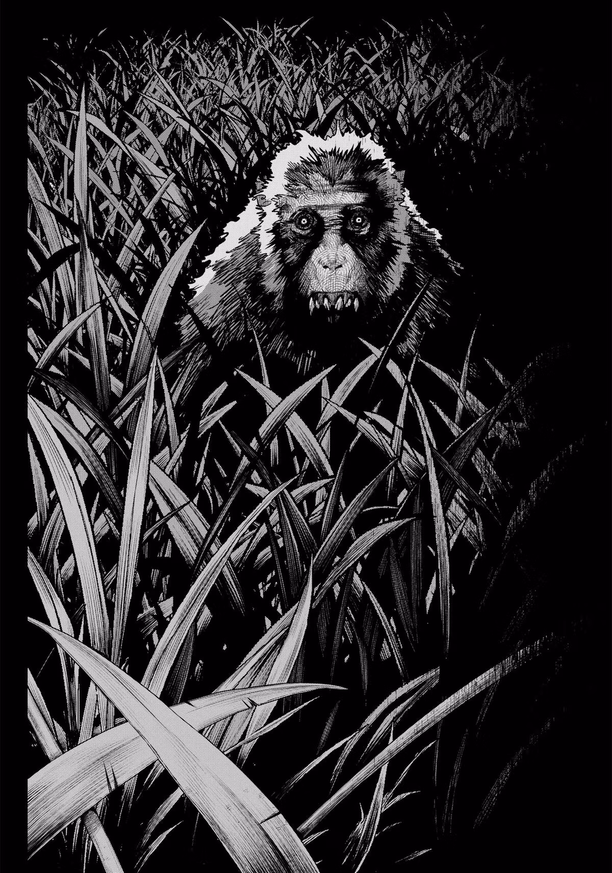 Monkey Hunting Chapter 1 page 56 - 