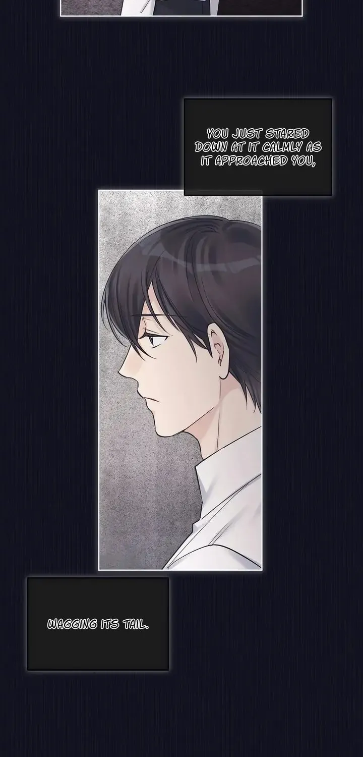 Monochrome Rumor Chapter 37 page 39 - 