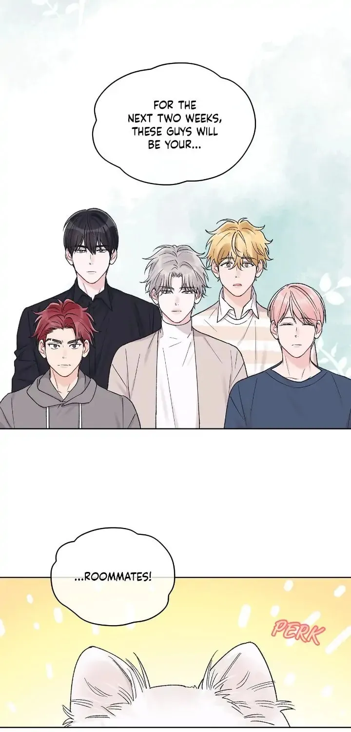 Monochrome Rumor Chapter 66 page 33 - 