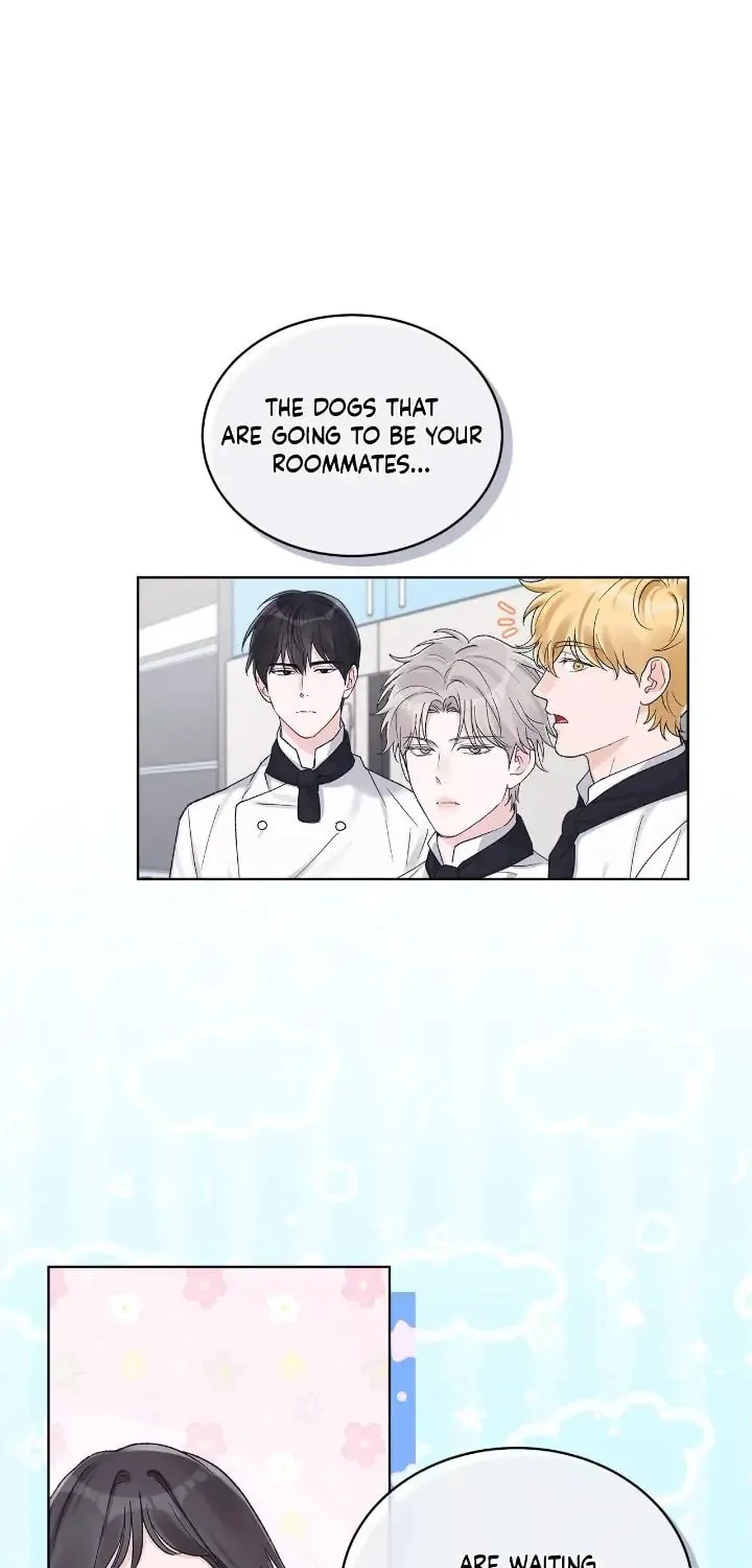 Monochrome Rumor Chapter 66 page 49 - 