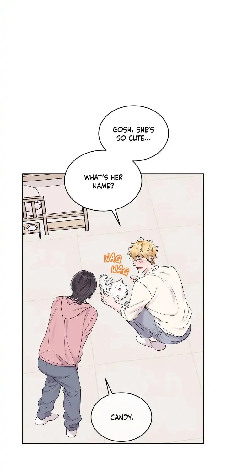 Monochrome Rumor Chapter 68 page 2 - 