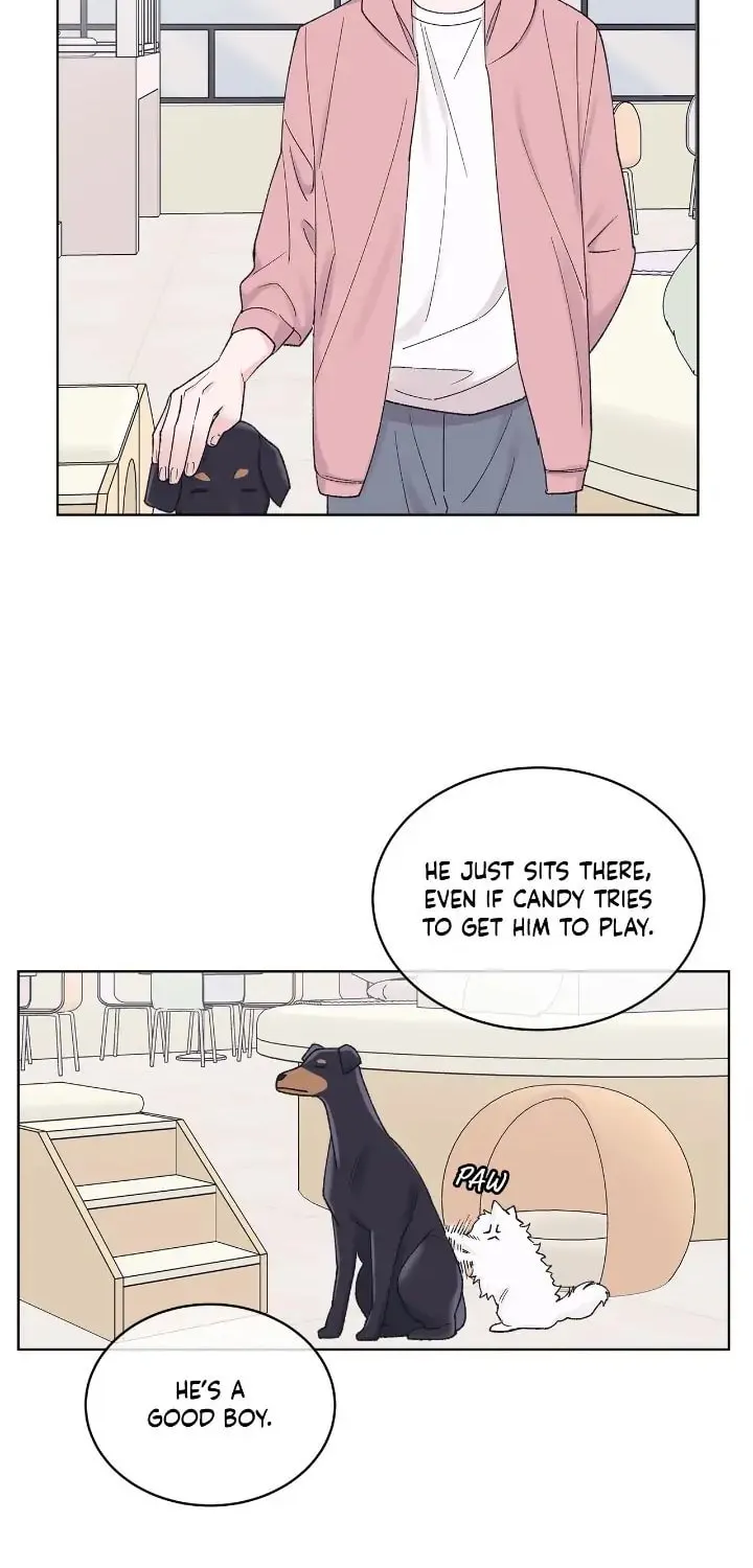 Monochrome Rumor Chapter 68 page 14 - 