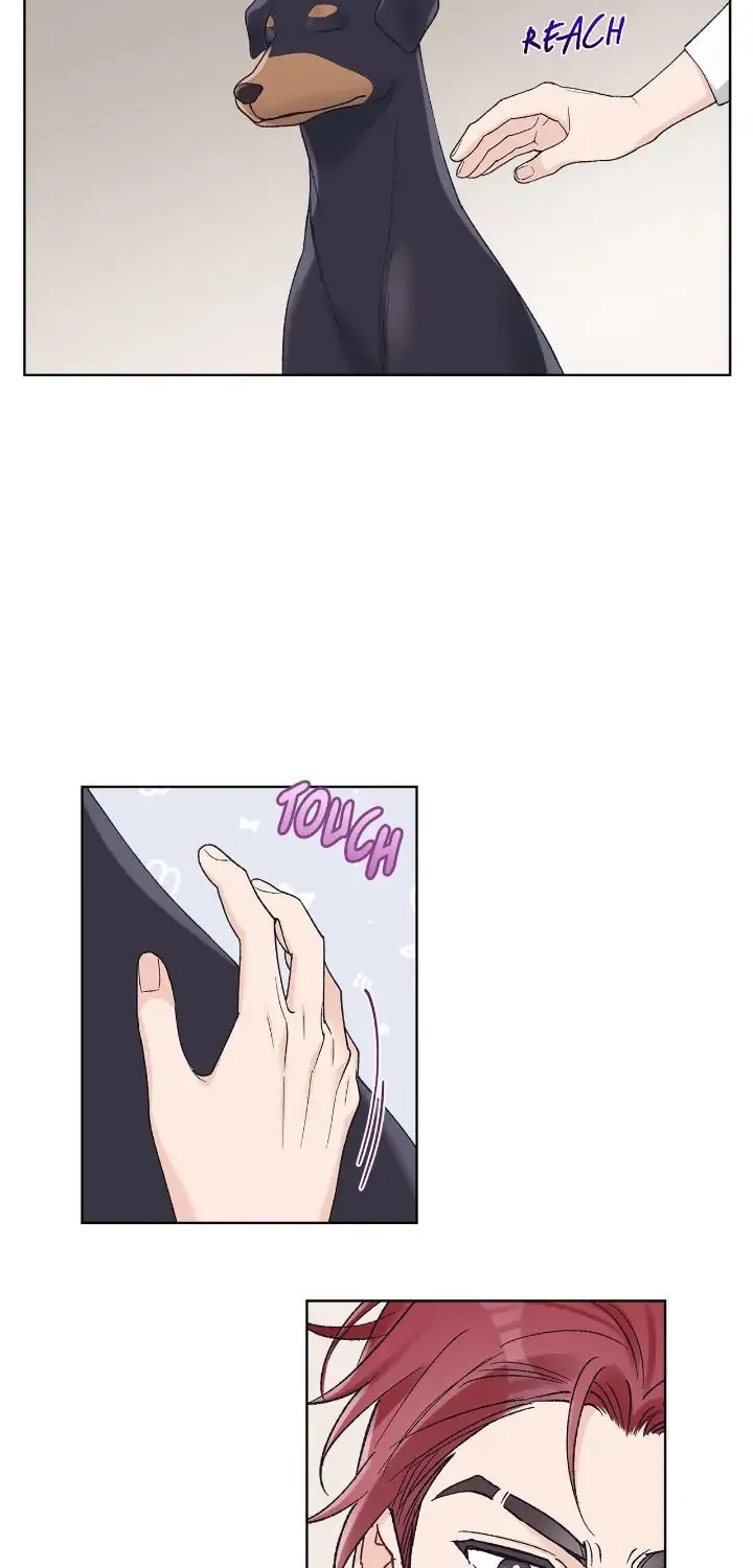 Monochrome Rumor Chapter 68 page 17 - 