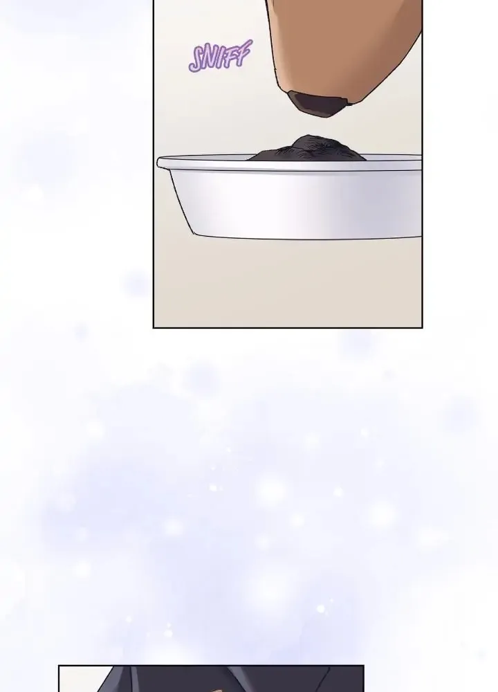 Monochrome Rumor Chapter 68 page 37 - 