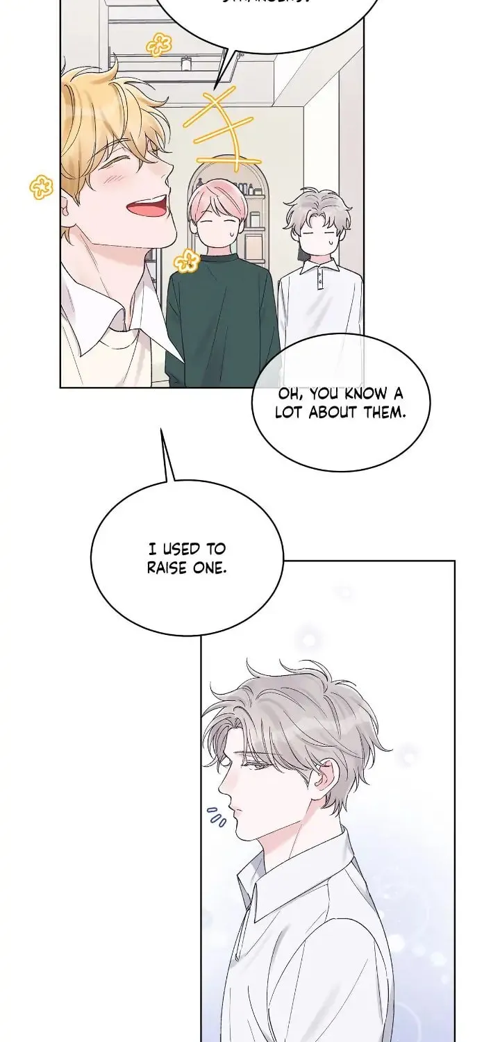 Monochrome Rumor Chapter 68 page 5 - 