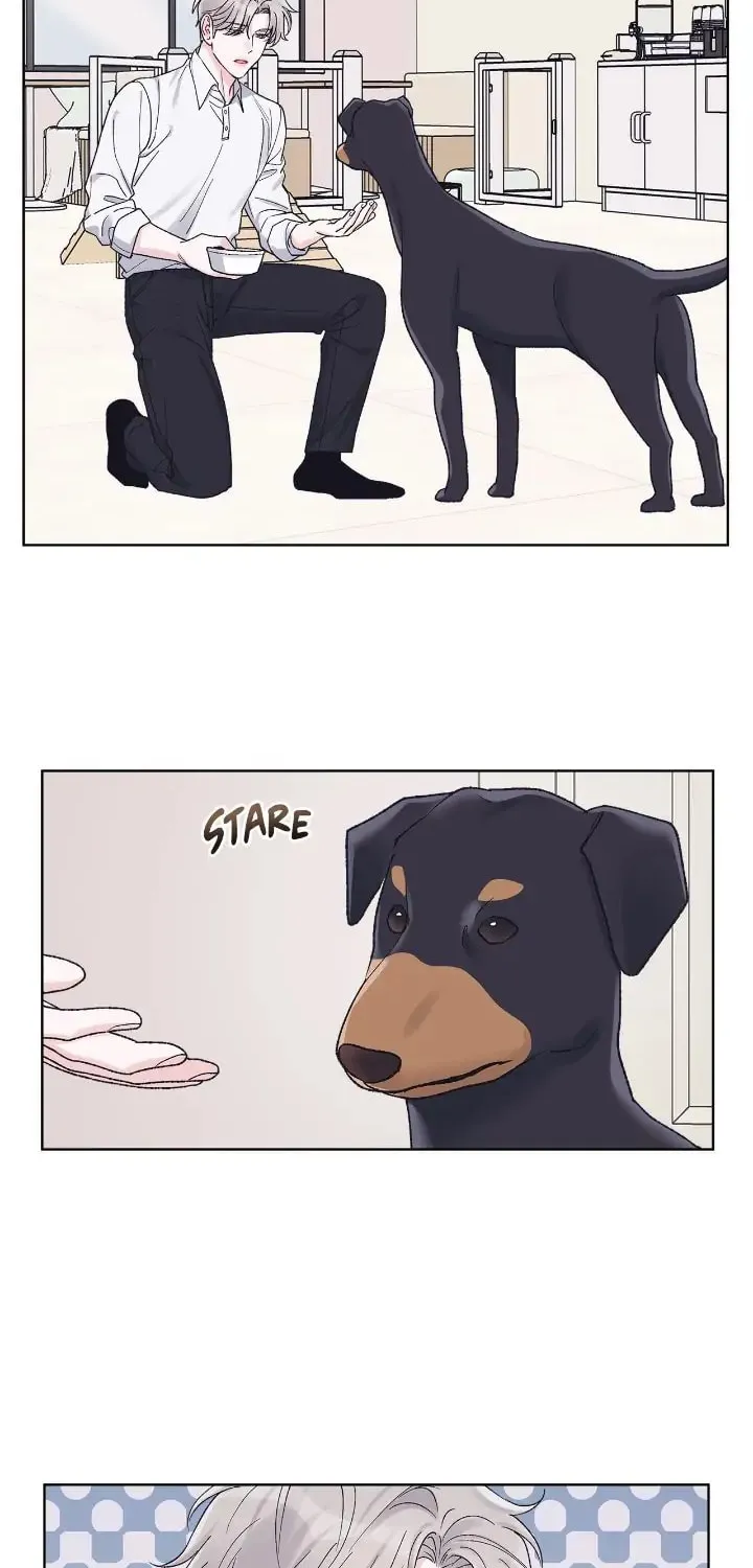 Monochrome Rumor Chapter 68 page 42 - 