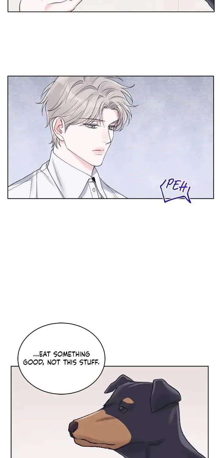 Monochrome Rumor Chapter 68 page 45 - 