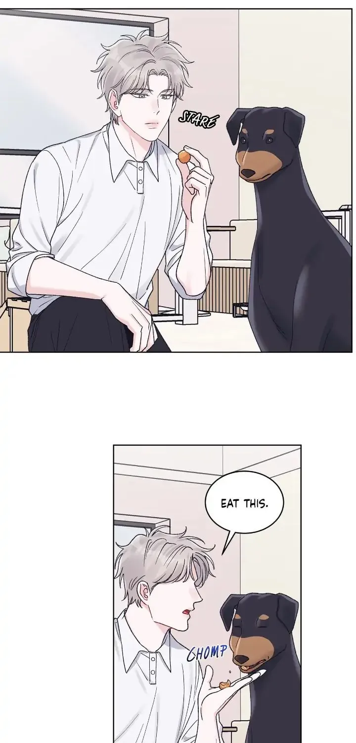 Monochrome Rumor Chapter 68 page 48 - 